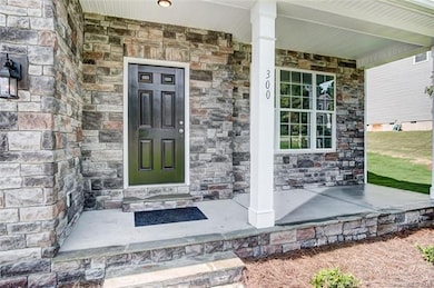 300 Hydrangea Dr unit LOT 383, Clover, SC 29710 - photo 2