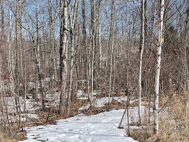 6630 Voyageurs Trail, Biwabik, MN 55708 - photo 4