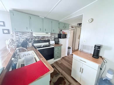 4 Topaz Dr, Eustis, FL 32726 - photo 7