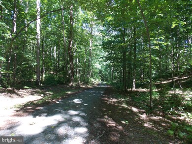 0 Lime Kiln Rd unit VALO386896, Middleburg, VA 20117 - photo 3