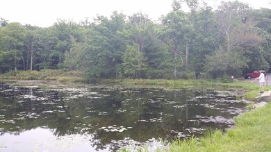 118 Broadmoor Dr, Blooming Grove Township, PA 18428 - photo 5