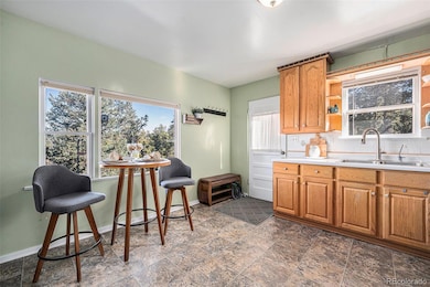 8701 Majestic View Dr, Conifer, CO 80433 - photo 5