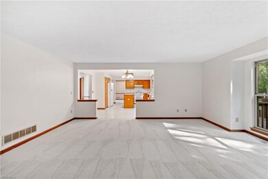 Living room with light carpet