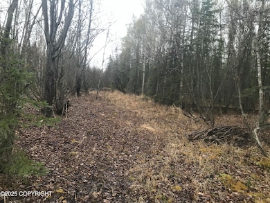 7963 S Lucindas Place, Wasilla, AK 99623 - photo 2