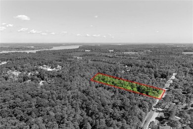 Bird's eye view with a wooded view