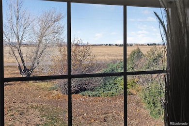 12426 N 1st St, Parker, CO 80134 - photo 5