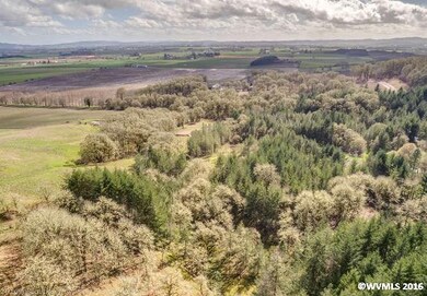 20980 SW Vineyard Ln, Mc Minnville, OR 97128 - photo 4