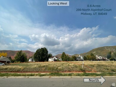 299 N Alpenhof Ct unit 5, Midway, UT 84049 - photo 5