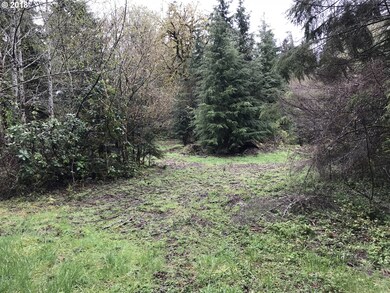 0 Robertson Rd unit 18230980, Longview, WA 98632 - photo 4