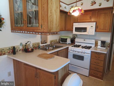 460 Timberline Cir, Berlin, MD 21811 - photo 4