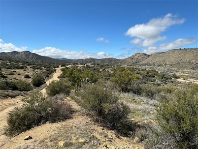 0 Covered Wagon Trail unit SW24042253, Anza, CA 92539 - photo 5