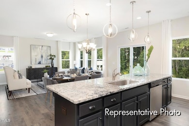 307 Chuck Wagon Way unit 147p, Benson, NC 27504 - photo 3