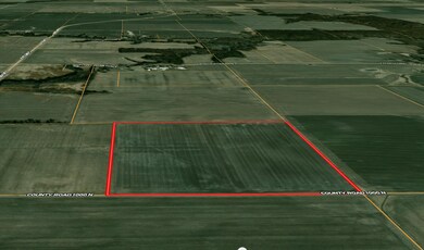 000 1000 Rd N, Farina, IL 62838 - photo 5