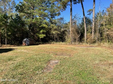 007 Back Yard