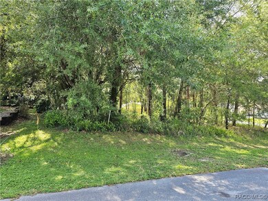 TBD SW 93RD PL, DUNNELLON, FL 34432