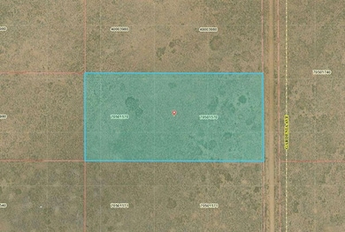 Gardenia Ave, Blanca, CO 81123 - photo 3