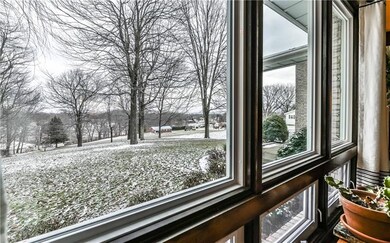 View out the Living Room picture window.