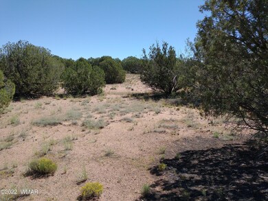 IMG_20220917_112558519