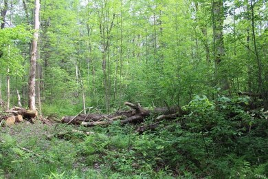 0 State Route 13 unit S1275979, Albion, NY 13302 - photo 5