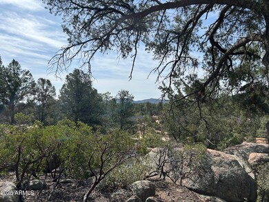 1703 E Redbud Ct unit 878, Payson, AZ 85541 - photo 3