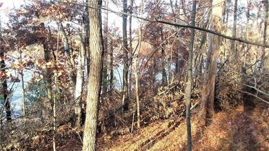 X Pot o Gold Rd, Oakland, WI 54830 - photo 6