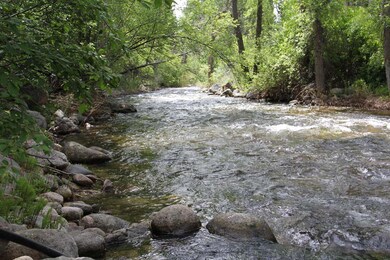Creek View