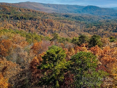 TBD Old Toxaway Rd, Brevard, NC 28712 - photo 4