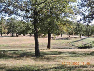 21536 W Gore Blvd, Indiahoma, OK 73552 - photo 2