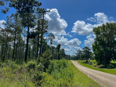 0 Cr 257 unit 22715481, Jasper, TX 75951 - photo 2