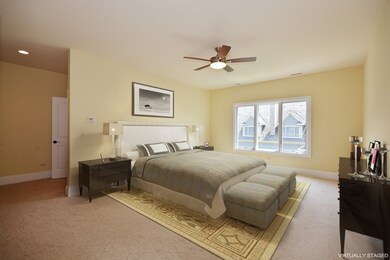 249 N Maple Ave, Elmhurst, IL 60126 - photo 7