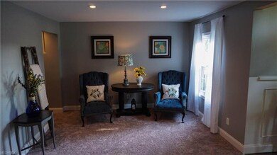 3114 N County Line Rd, Geneva, OH 44041 - photo 4