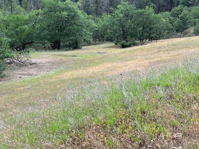 14991 California 3, Hayfork, CA 96041 - photo 2