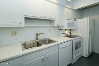 173 E Michigan Ave unit 203B, Three Rivers, MI 49093 - photo 5