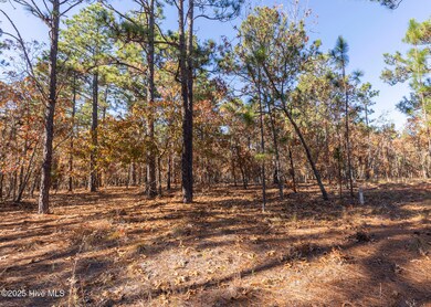 465 Roundabout Rd, Carthage, NC 28327 - photo 2