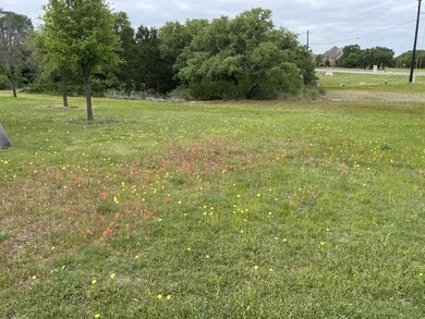 321 Antler Ridge Dr, Azle, TX 76020 - photo 4