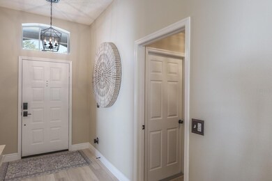 326 Tavernier Dr, Oldsmar, FL 34677 - photo 6