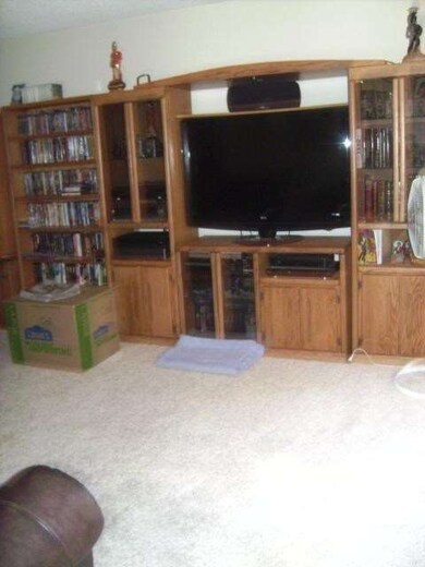 Entertainment area of living room.