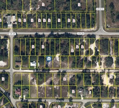 346 Morningside Dr, Lake Placid, FL 33852 - photo 3