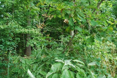 Lot 20 Berkshire Dr, Bella Vista, AR 72714 - photo 2