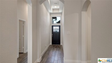 329 Lacey Oak Loop, San Marcos, TX 78666 - photo 4