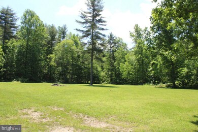 3619 Dry Run Rd, Luray, VA 22835 - photo 6