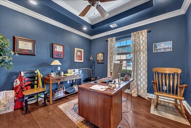 Large freshly painted office