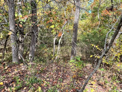 0 Snyder Ln unit 1259475, Bella Vista, AR 72714 - photo 2