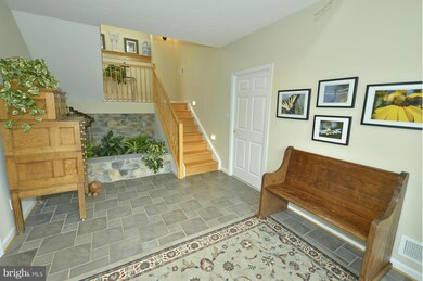 151 Signal Ct, Strasburg, VA 22657 - photo 3