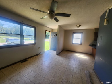 904 E Poplar St, Du Quoin, IL 62832 - photo 4