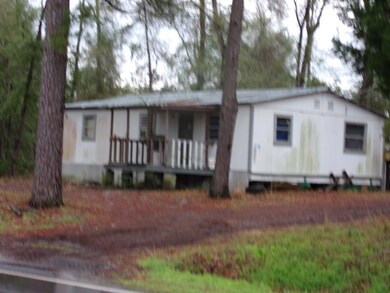 0 Mt Vernon and Washington Streets unit 18161, Mt. Vernon, GA 30445 - photo 3