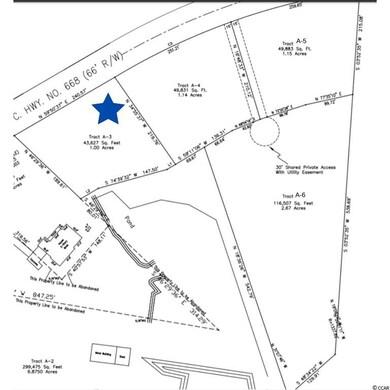 TBD-A2 Highway 668, Conway, SC 29526 - photo 3