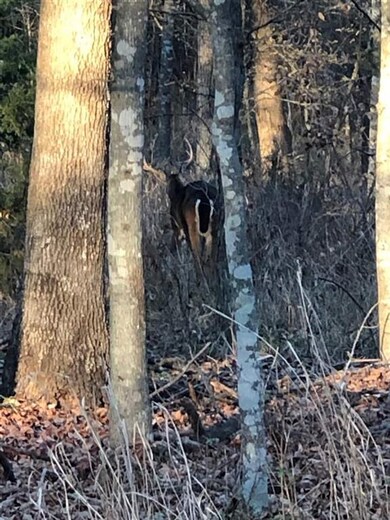 0000 E Kirk St, Hugo, OK 74743 - photo 6