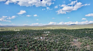 Lot D