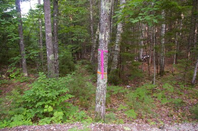 Lot#2 Fernald Hills Way Rd, Stow, ME 04037 - photo 4